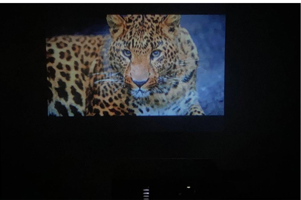 Mini Portable LED Projector